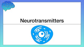 How do Neurotransmitters Work Chemical Activity in the Brain [upl. by Debi]