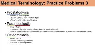 Medical Terminology  The Basics and Anatomy  Practice Lesson 4 [upl. by Nalor535]