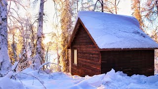 Off Grid Cabin in the Alaskan Wilderness [upl. by Ecneralc]