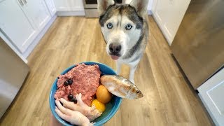 What Feeding Raw Breakfast Every Morning Looks Like With My Husky [upl. by Nylhtak]