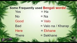 Learn Bengali Frequently Used Expression Words In English [upl. by Yuri]