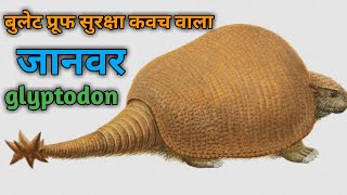 glyptodon  ग्लाईप्टोडान [upl. by Maren90]