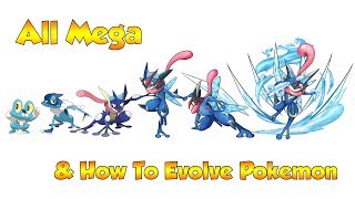 How To Evolve Pokémon  Generation 6 Kalos amp Mega Evolutions Animated Sprites [upl. by Haimirej901]