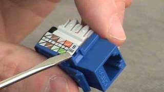 How to wire an RJ45 jack [upl. by Siro508]