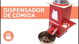 Dispensador de comida para perros casero [upl. by Aliak]