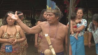 New life of the fearsome jivaro tribe in the Peruvian Amazon [upl. by Etolas]