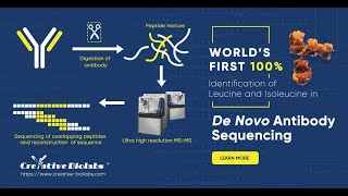 100 Identification of Leucine and Isoleucine in De Novo Antibody Sequencing  Creative Biolabs [upl. by Arnuad]