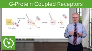 GProtein Coupled Receptors GPCRs – Biochemistry  Lecturio [upl. by Domini451]