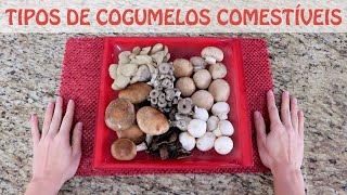 Tipos de Cogumelos Comestíveis [upl. by Asiat]