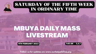 Catholic Church Daily Mass Today LIVE  Mbuya Parish [upl. by Ute472]