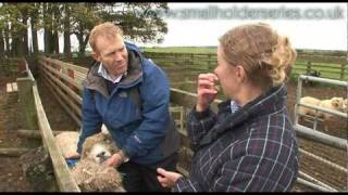 Sheep Drenching worming with Adam Henson [upl. by Afrikah215]