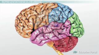 Types of Heuristics Availability Representativeness amp Base [upl. by Hctud]