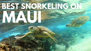 Black Rock Maui Snorkeling Tips  Kaanapali Beach for a Day of Great Snorkeling turtles included [upl. by Antin411]