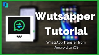 Mutsapper Tutorial  Transfer WhatsApp Data from Android to iPhone without Computer [upl. by Nnaeitak974]