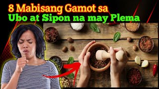 8 MABISANG HALAMANG GAMOT SA UBO AT SIPON NA MAY PLEMA [upl. by Haronid]