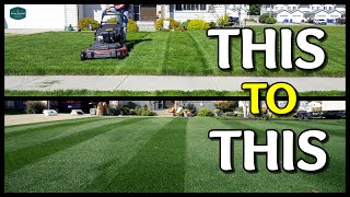 How I TRANSFORMED My Lawn  Tall Cut Grass to Short Cut Grass [upl. by Enrique]