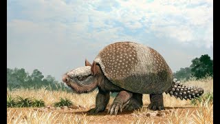 Glyptodonts Glyptodonts Glyptodonts [upl. by Marder]