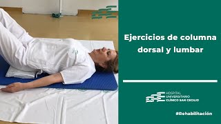 Ejercicios de columna dorsal y lumbar [upl. by Sang]