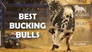 Best Bucking Bulls Ever [upl. by Marciano]