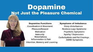 Demystifying Neurotransmitters Serotonin Dopamine and Beyond [upl. by Mencher]