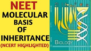 Molecular Basis of InheritanceClass 12NCERTChapter 06GeneticsQuick Revision SeriesAIIMS NEET [upl. by Zelikow]