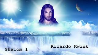 Ricardo Kwiek  Shalom 1  track nr 5 [upl. by Hnim]