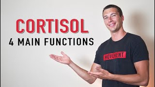 What does Cortisol Do  4 Functions of Cortisol Hormone [upl. by Halilak]