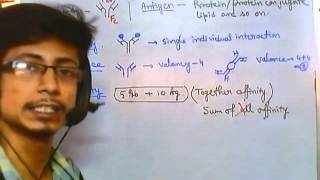 Antigen antibody reaction overview [upl. by Ellitnahc]