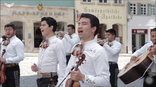 Cielito Lindo  Mariachi Juvenil Chona Esslingen Alemania [upl. by Darcia]