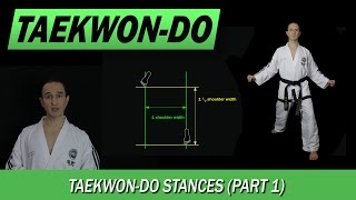 TaekwonDo Stances Part 1 [upl. by Alva774]