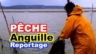 PÊCHE  Languille sur létang de Bages [upl. by Adnuahsor27]