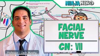 Trigeminal Nerve Anatomy  The Ophthalmic Nerve [upl. by Dahraf]