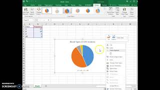 Add data labels to pie chart and delete legend [upl. by Iiette]