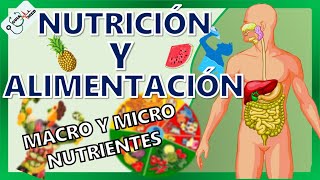 CONCEPTOS BÁSICOS DE NUTRICIÓN Y ALIMENTACIÓN  GuiaMed [upl. by Rayshell]