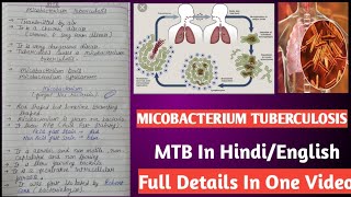 Micobacterium tuberculosis  Mycobacterium tuberculi microbiology [upl. by Kano74]