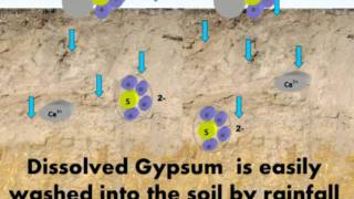 Other uses for Gypsum [upl. by Ballman96]