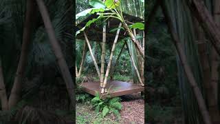 Bamboo Building simple structure [upl. by Angeli347]