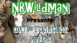 TRAPPERS Tan Your Hide DIY Home Tanning Complete Process Part 2 [upl. by Ayaj]