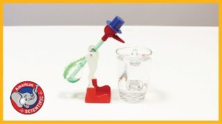 STEM Product  Drinking Bird [upl. by Assirrac]