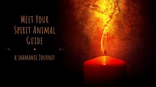 Find your Spirit Animal  Guided Meditation [upl. by Ranson]