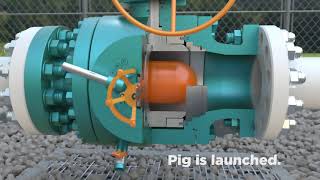 Chaoda USA Pigging Valve Demonstration [upl. by Elyad]