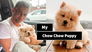 Getting My Chow Chow Puppy 🐶🐾 [upl. by Nilram]