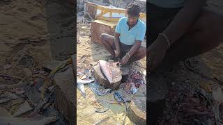 Kovalam Fish Cutting [upl. by Hcire]