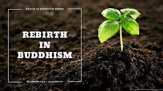 Rebirth vs Reincarnation in Buddhism [upl. by Assirod]