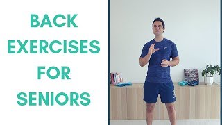 Essential Lower Back Exercises for Seniors [upl. by Gnehs639]