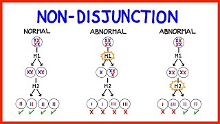 Chromosomal Abnormalities Aneuploidy and NonDisjunction [upl. by Esele441]