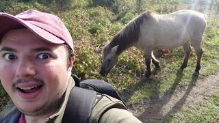 Kent Coast Walk  Ramsgate to Sandwich Pegwell Bay [upl. by Gipson]