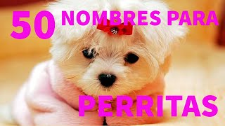 Los 50 mejores nombres para PERRITAS [upl. by Wooster]