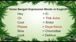 regular verb list with bangla meaning  explained in Bengali [upl. by Nirre]