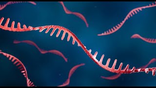 Single Molecule Sequencing Epitranscriptomics [upl. by Ecnaralc]